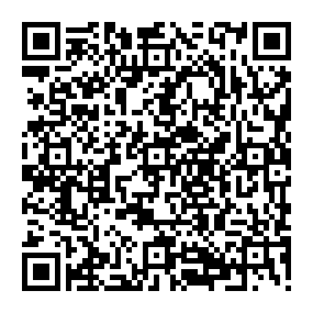 79631590864
