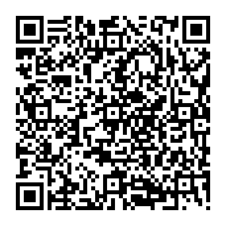 79631593338