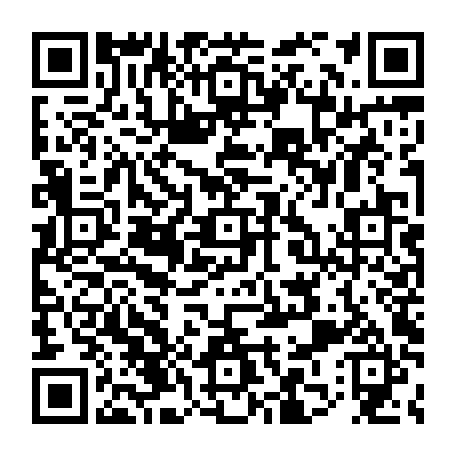 79631594294