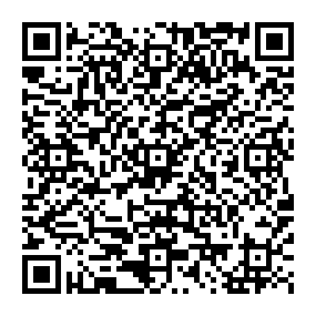 79631596381