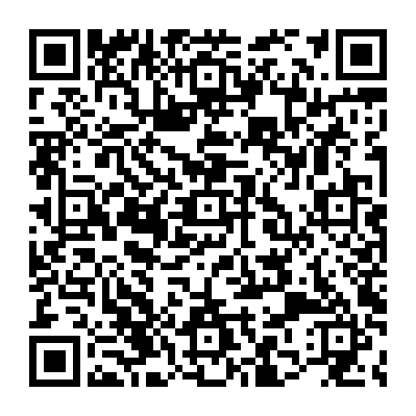 79631597216