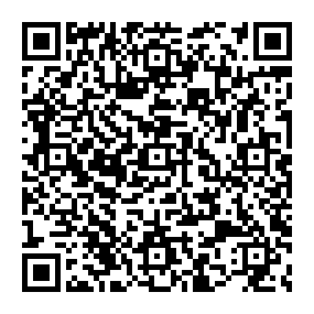 79631597229