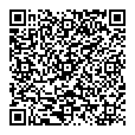 79631597335