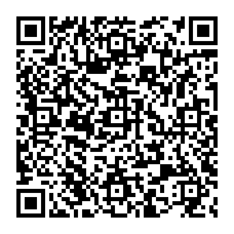 79631598291