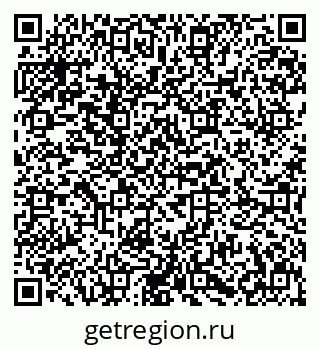 79631600295