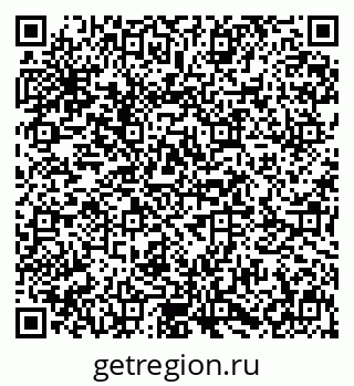 79631600498
