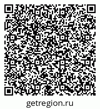 79631600499