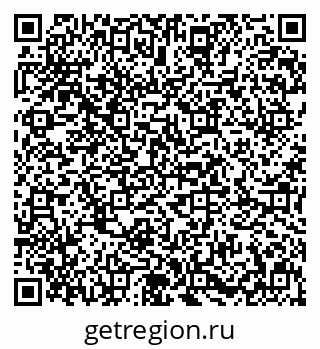79631600511