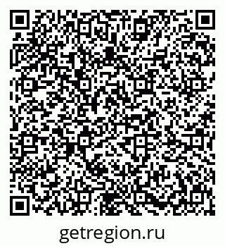 79631600515