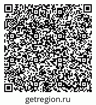79631600520