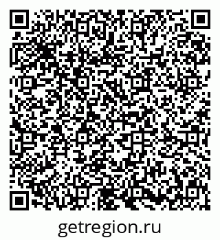 79631600521