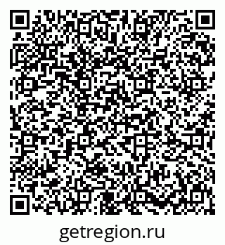 79631600536