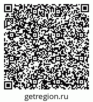 79631615558