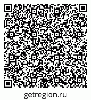 79631618294