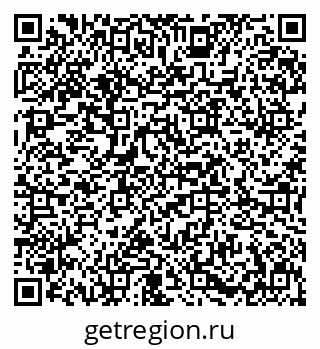 79631636004