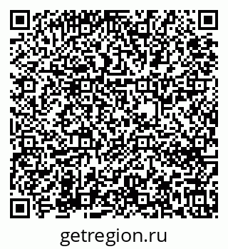 79631636558