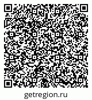 79631645520