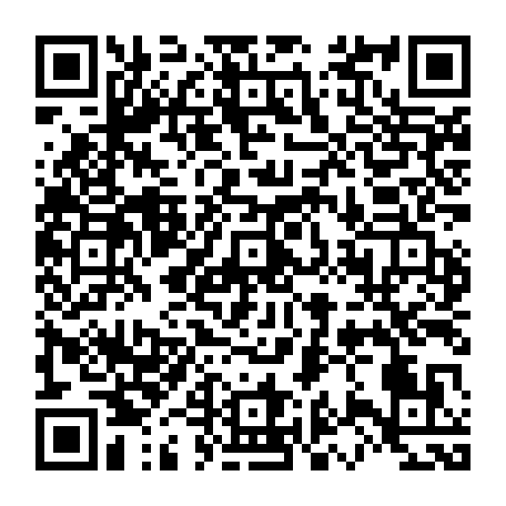 79631647504