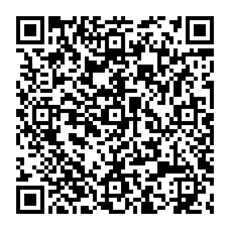 79631647517