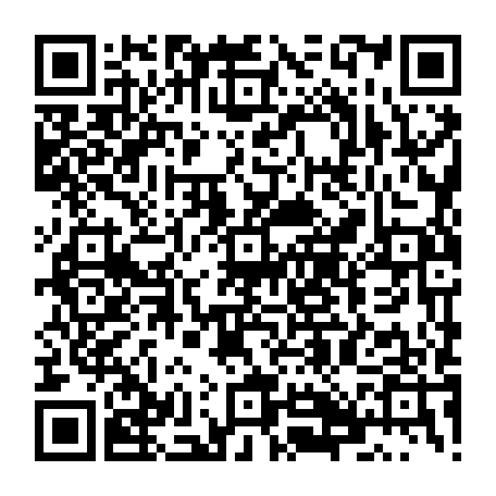 79631647557