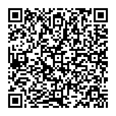79631647904