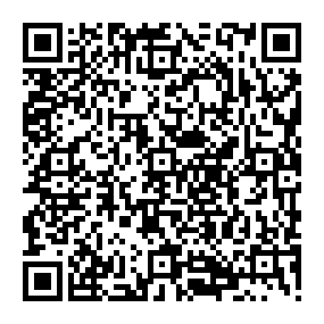 79631648029