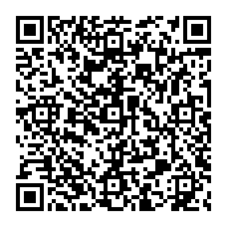 79631648205
