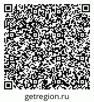 79631649381