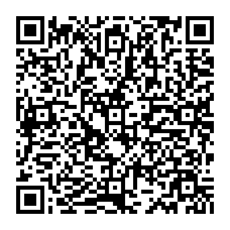 79631649911