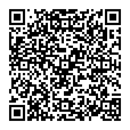 79631649995