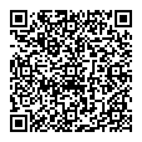 79631800807