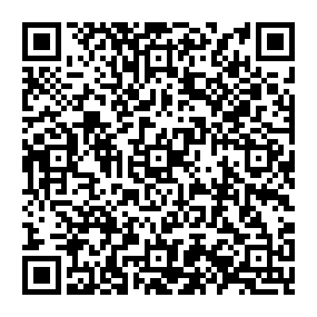 79631800881
