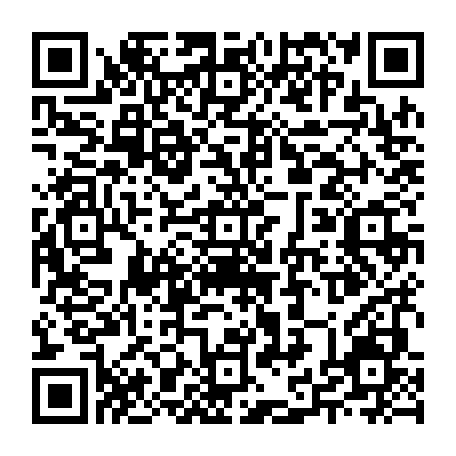 79631801381