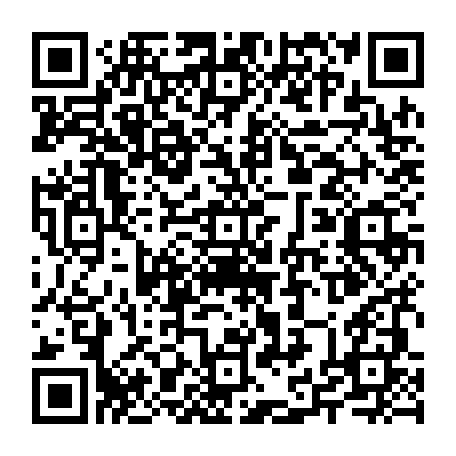 79631801955