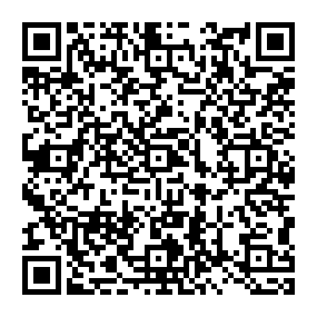 79631802029