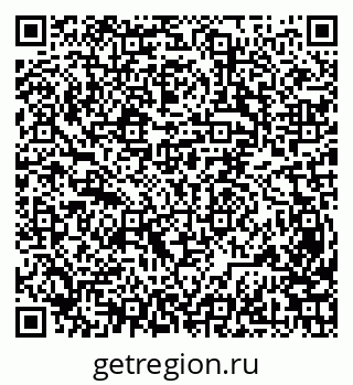79631954566