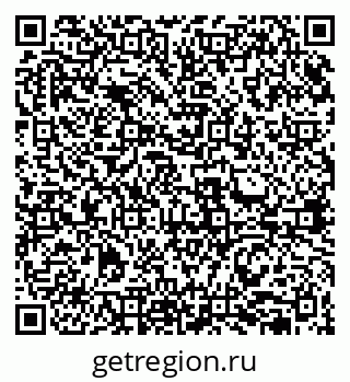 79631955564