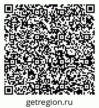 79631955828