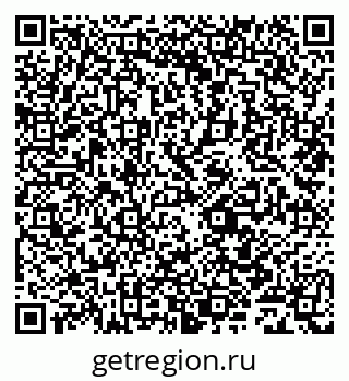 79631981004