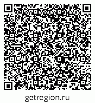 79631981041
