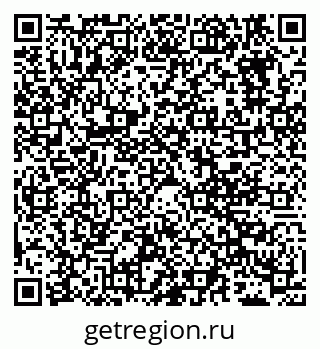 79631981100