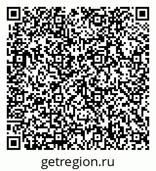79633328831