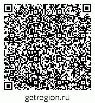 79633365558