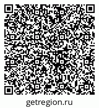 79633365981