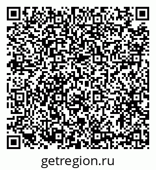 79633366558