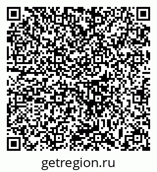 79633381981