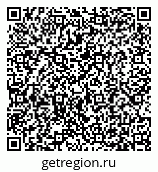 79633385826