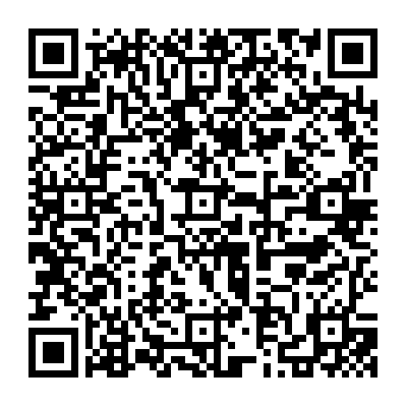 79633520035