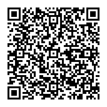 79633520295