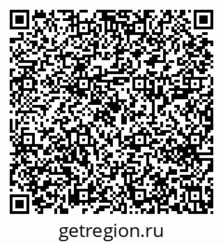 79633600520